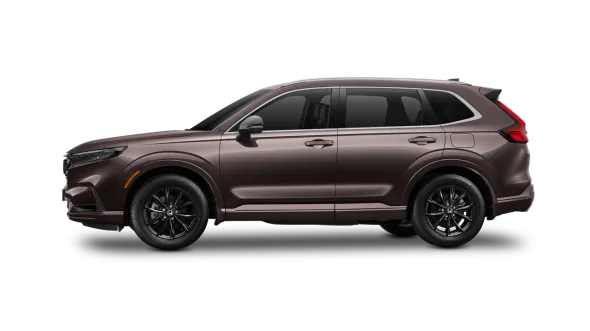 Honda CR-V màu nâu